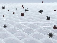 <b>抗菌紡織品知多少？后疫情時代紡織品開發(fā)方向</b>